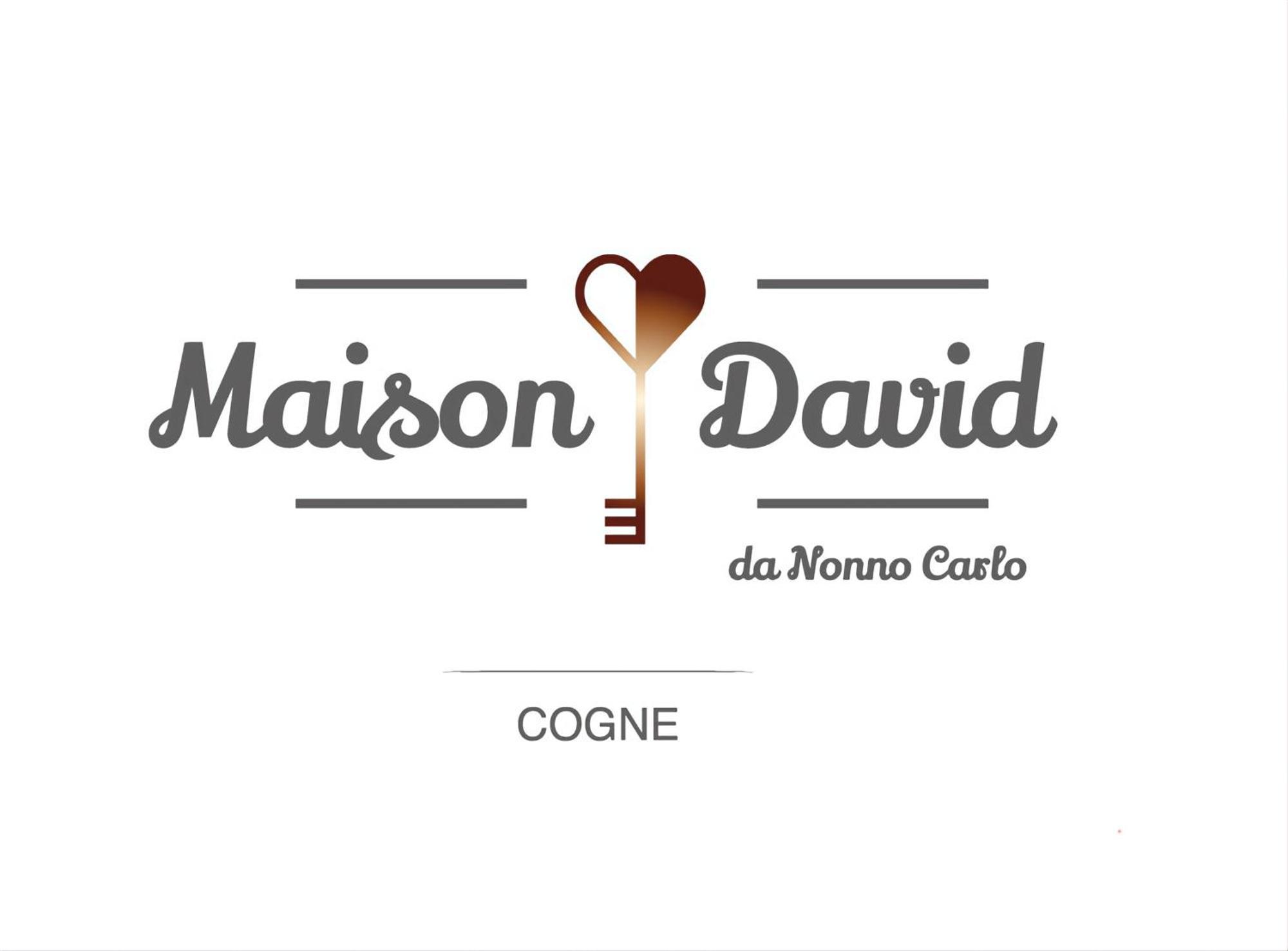 Maison David - Da Nonno Carlo 0034 Cogne Exterior foto